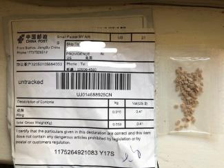 bag of seeds with mailing label on them