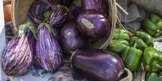 several eggplants
