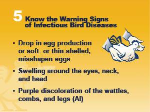 Know the warning signs of infectious bird diseases