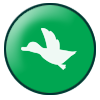 white duck flying on green circle background