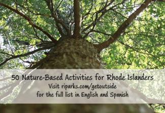 Large tree and nature based activities
