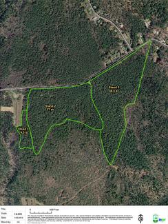 Aerial map showing the area of a forest health cut at Carolina Managment Area