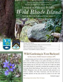 A deer and a purple flower on the cover of the spring 2024 issue of Wild Rhode Island. 