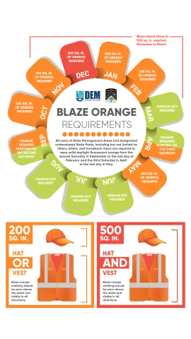 Infographic with months to wear orange and visual representation of 200 versus 500 square inches of orange