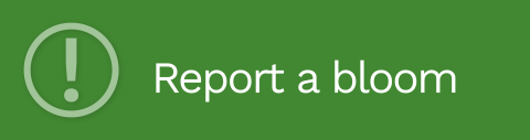 Report a bloom