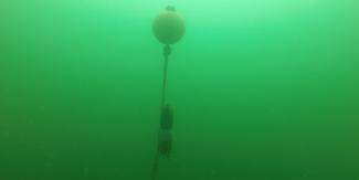 buoy seen from underwater