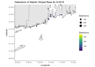 Detections of Atlantic Striped Bass 6-2019
