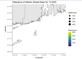 Detections of Atlantic Striped Bass 12-2020