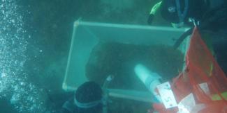 person using suction device on underwater white container