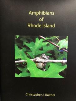 Cover of the book Amphibians of Rhode Island