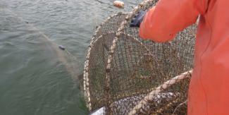 person in orange handling net over the side of a boat