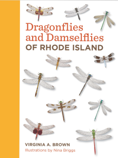 Cover of Dragonflies and Damselflies of Rhode Island book