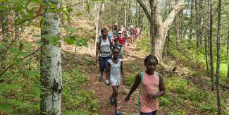 Guided Hikes