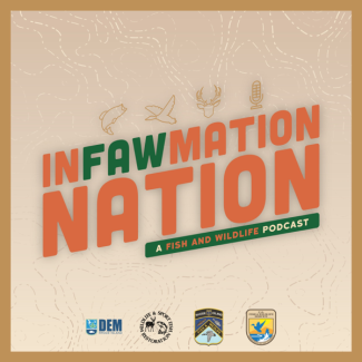 infawmation nation logo