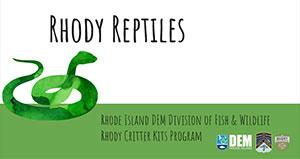 cover of rhody reptiles lesson one 