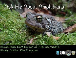 Frog on cover of lesson plan labelled ask me about amphibians