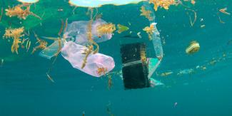 reduce plastics in oceans