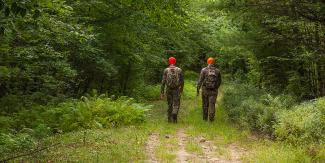 men in camo walking on forested path