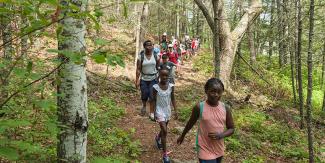 kids walking forest path