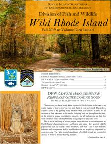 forested trail on the cover of Wild Rhode Island Journal