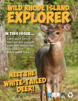 cover of Wild Rhode Island Explorer with a deer shown