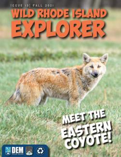 Wild RI Explorer cover with Meet the Eastern Coyote
