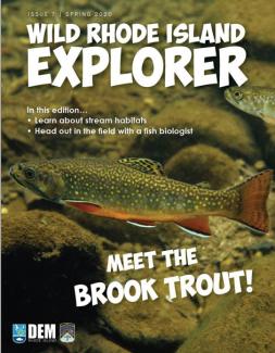 Wild RI Explorer cover with Meet the Brook Trout