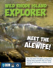 Wild RI Explorer cover with Meet the Alewife
