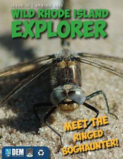 insect on cover of wild rhode island explorer