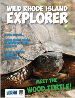 Wild RI Explorer cover with Meet the Wood Turtle