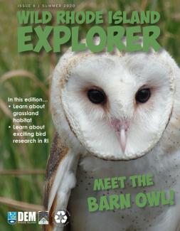 Wild RI Explorer cover with meet the Barn Owl