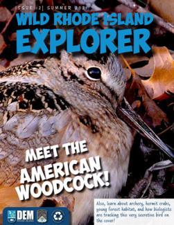 Cover of Wild RI Explorer with Meet the American Woodcock