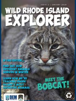Wild RI Explorer cover with Meet the Bobcat