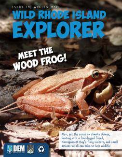 Wild RI Explorer cover with Meet the Wood Frog