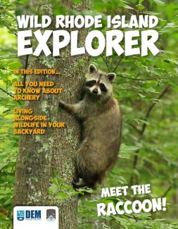 Wild RI Explorer cover with Meet the Raccoon