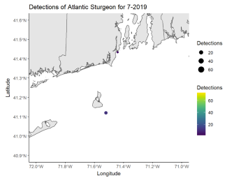 Detections of Atlantic Sturgeon 7/19