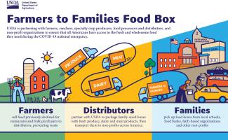 illustration of process of food going from farmers to families
