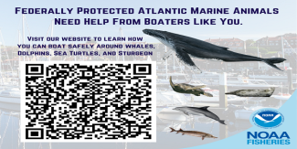 qr code with pictures of wale, seal and turtle, federally protected atlantic marine animals need help from boaters like you