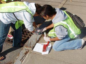 Marking A Storm Drain