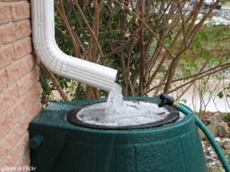 recycling rain water