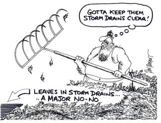 Raker Storm Drain comic