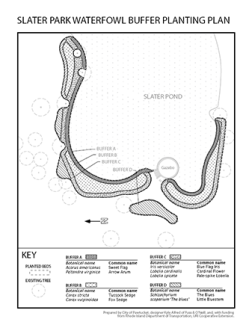 Slater Park Waterfowl Buffer Planting Plan