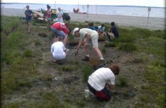People digging in a dirt patch