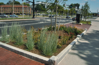 A vegetated median strip on Wickenden Street, Providence