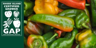 different types of peppers certified growers logo
