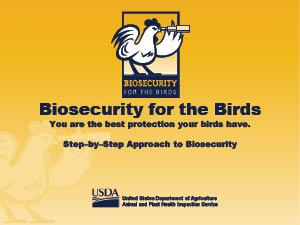 Biosecurity for the birds cover