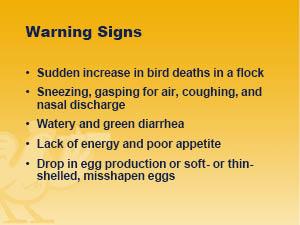 Warning signs of Avian flu listed