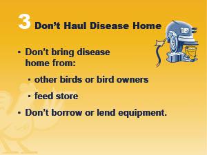 Don't Haul Disease Home