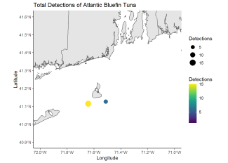 Total Detections of Atlantic Bluefin Tuna
