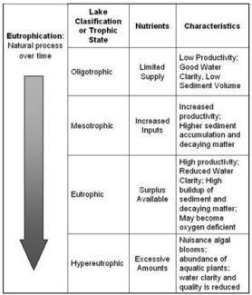 eutrophication chart